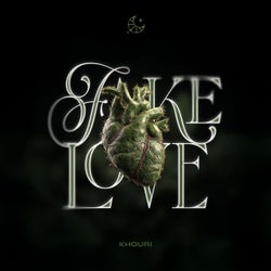 Fake Love (Extended Mix)