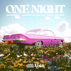 One Night (feat. D'NIVIE)