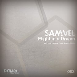 Flight In A Dream
