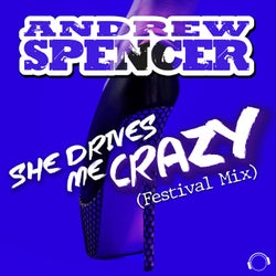 She Drives Me Crazy (Festival Mix)
