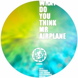 What Do You Think Mr Airplane