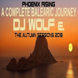 DJ WOLF e's TOP THIRTY TRACKS of 2018