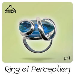 Ring Of Perception #4 (Radio Edits)
