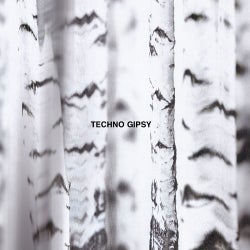 Techno Gipsy