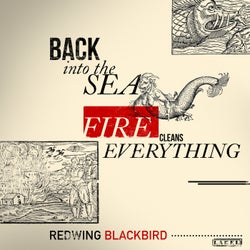 Back Into The Sea & Fire Cleans Everything