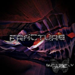 Fracture