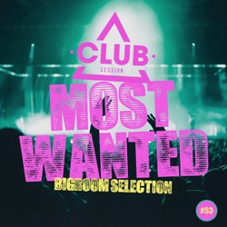 Most Wanted - Bigroom Selection Vol. 53
