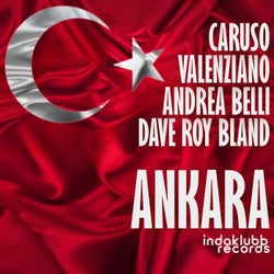 Cover art for Ankara