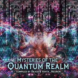 Mysteries of the Quantum Realm