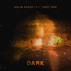Dark (feat. Koey, BRE)
