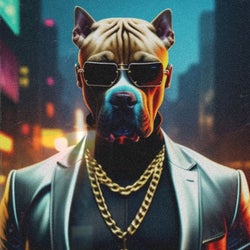 PitBull