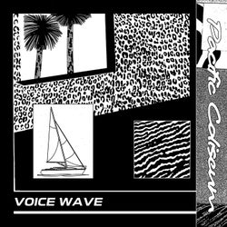 Voice Wave