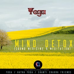Mind Detox (Sound Medicine & Meditation)