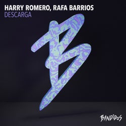 Descarga