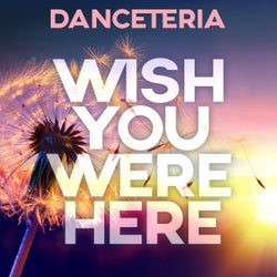 Wish You Were Here (Van Edelsteyn Remix)