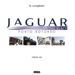 Jaguar On The Beach - Portorotondo