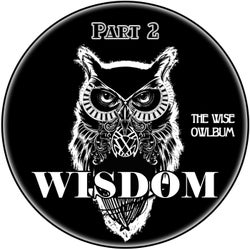 The Wise Owlbum, Pt. 2