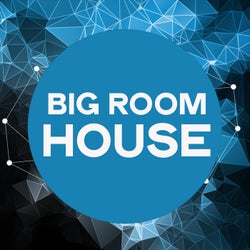 Big Room House (Electro House Music Selection)