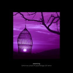 Tomorrow Place (Assemblage 23 Remix)