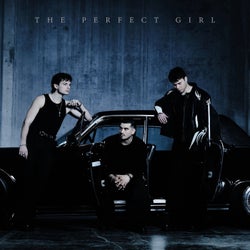 The Perfect Girl (Extended Mix)