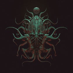 Night Squid / Fried