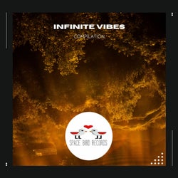 Infinite Vibes