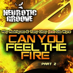 Can You Feel the Fire - Remixes