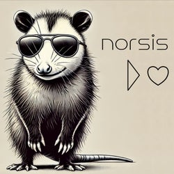 Norsis