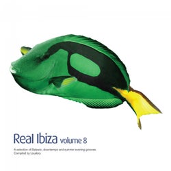 Real Ibiza, Vol. 8