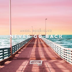 Never Go Back (Angel Rodriguez One Year Remix)
