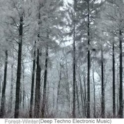 Forest-Winter (Deep Techno Electronic Music), Vol. 2
