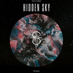 Hidden Sky