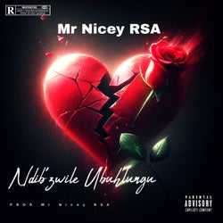 Ndib'zwile Ubuhlungu