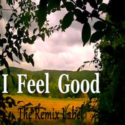 I Feel Good (Fitness House Music for Working Out)