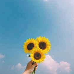 It's Summer!