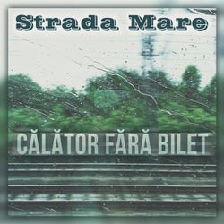 Calator Fara Bilet