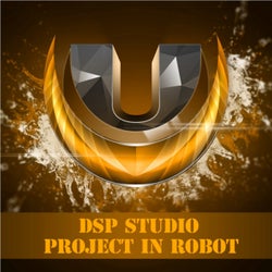 Project In Robot