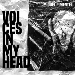 Voices in my head (Original Mix)