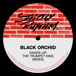 Hands Up / The Trumpet King (Mixes)