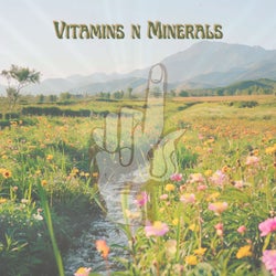 Vitamins N Minerals