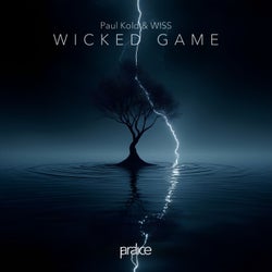 Wicked Game (Extended Mix)
