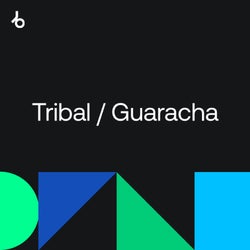 Audio Examples : Tribal /Guaracha