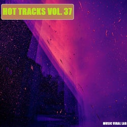 Hot Tracks Vol. 37