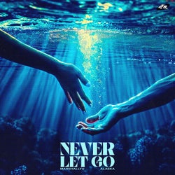 Never Let Go (Extended Mix)