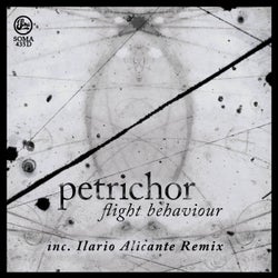 Flight Behaviour (Inc Ilario Alicante Remix)