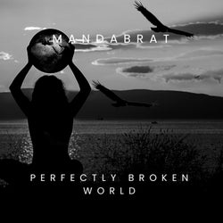 Perfectly Broken World