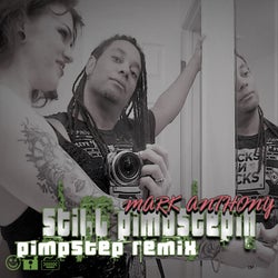 Still Pimpstepin (Pimpstep Live Guitar Remix)