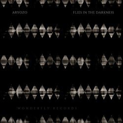 Flies in the darkness