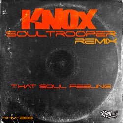 That Soul Feeling (Soultrooper Remix)