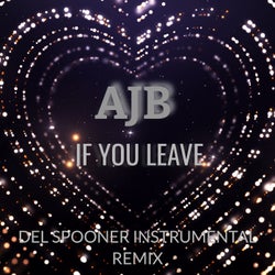 If You Leave - Del Spooner Instrumental Remix